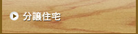 分譲住宅