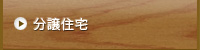 分譲住宅