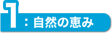 自然の恵み